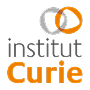 institut curie
